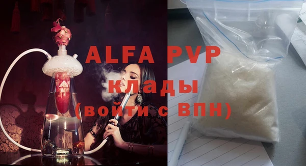 сатива Новокубанск