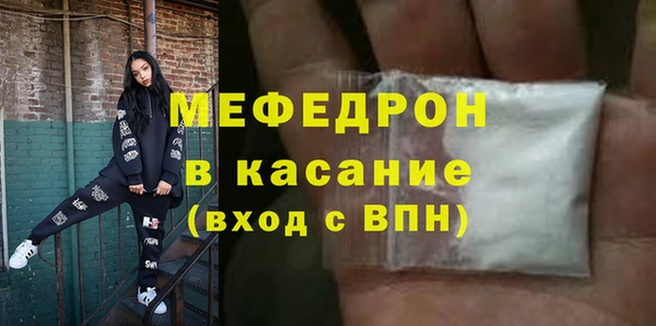 индика Новодвинск