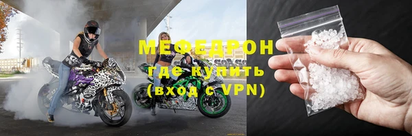 сатива Новокубанск