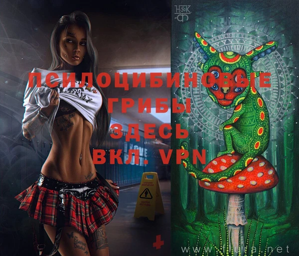 индика Новодвинск