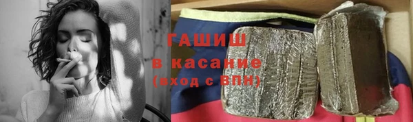 индика Новодвинск