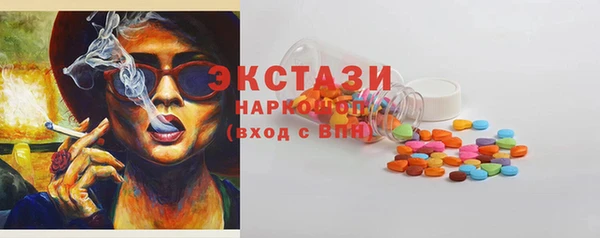 индика Новодвинск