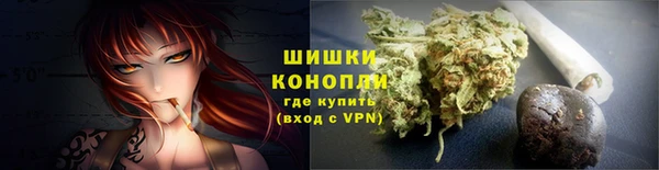 сатива Новокубанск