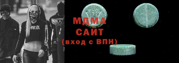 индика Новодвинск