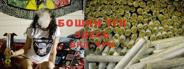 индика Новодвинск