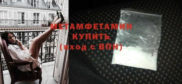 индика Новодвинск