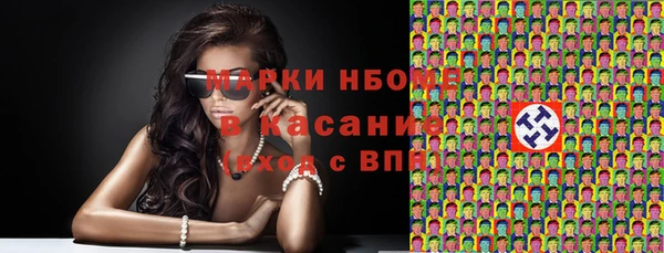 индика Новодвинск