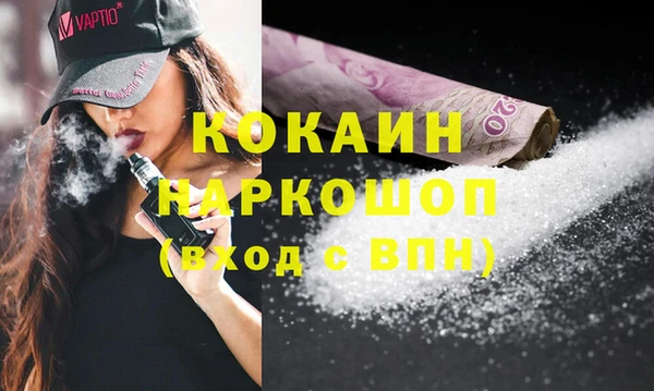 индика Новодвинск