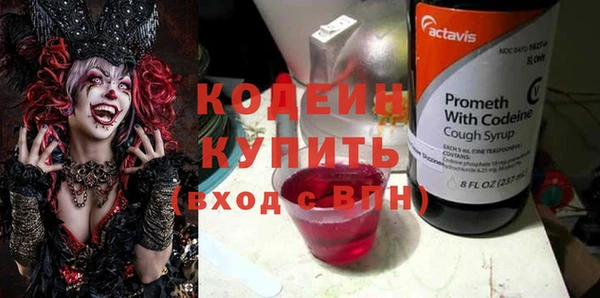 индика Новодвинск