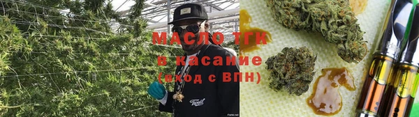 сатива Новокубанск