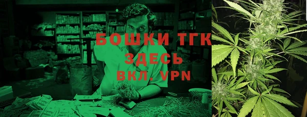 индика Новодвинск