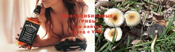 индика Новодвинск