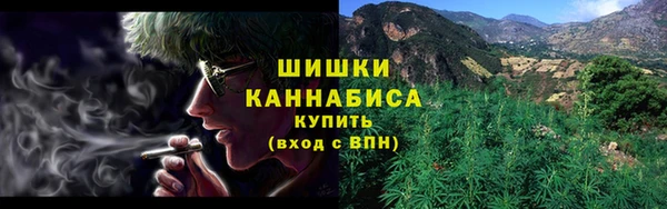 индика Новодвинск