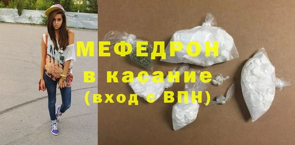 индика Новодвинск