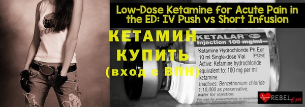 индика Новодвинск