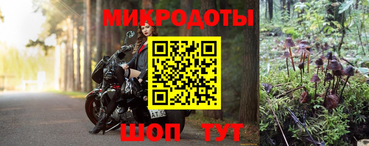 Тара  Галлюциногенные грибы мицелий  Вход с VPN 