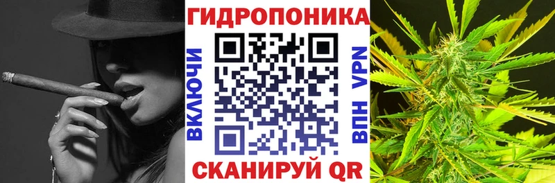 МАРИХУАНА White Widow  купить наркотик  площадка наркотические препараты  Тара 